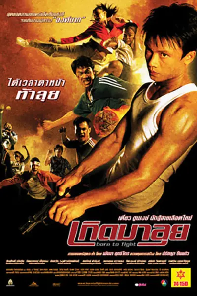 Sinh Ra Để Chiến Đấu